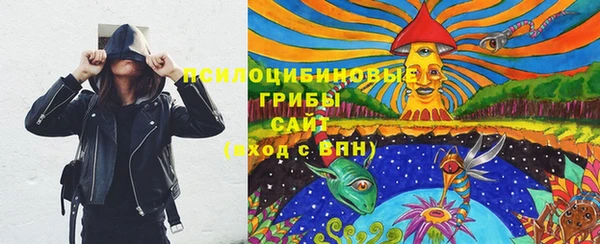 гидропоника Алзамай