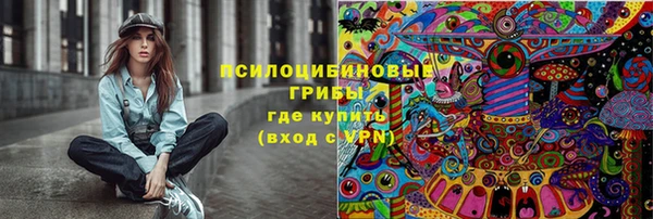 гидропоника Алзамай