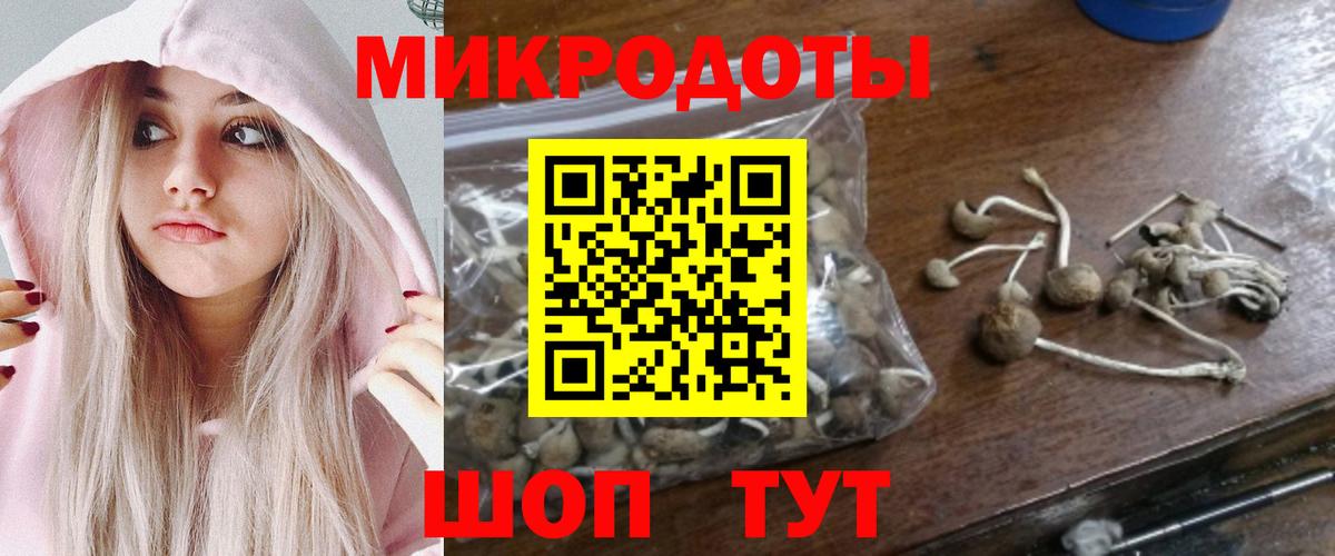 Псилоцибиновые грибы Magic Shrooms  Вход с VPN  Котлас 